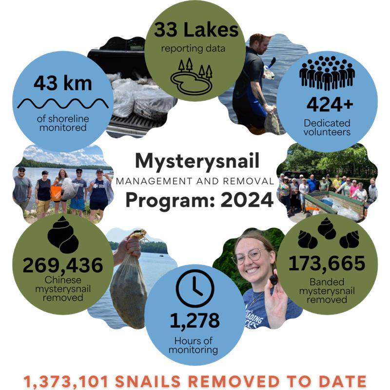 Mysterysnail Management and Removal Program - 2024 Stats